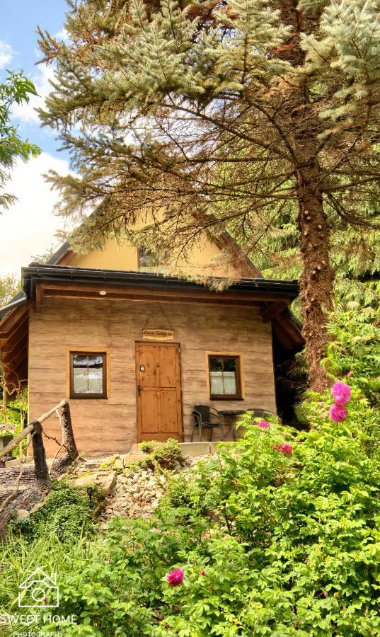 자코파네 Oaza Tatry III 빌라 외부 사진