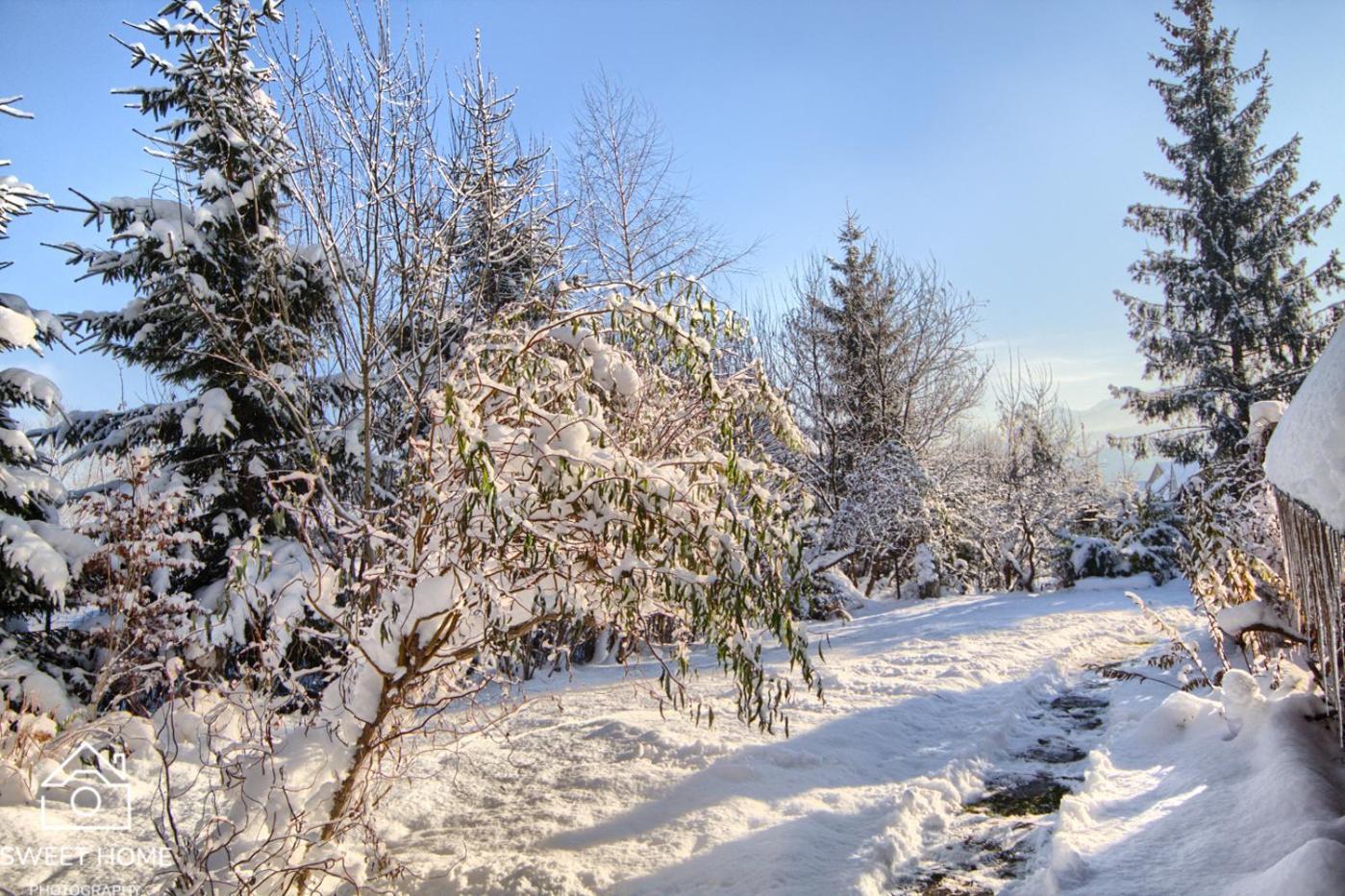 자코파네 Oaza Tatry III 빌라 외부 사진